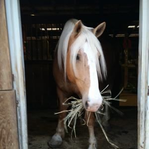 Meet your Posher, Kimberly